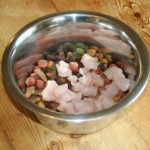 Rachael’s Fourth Day: Changing a Puppy’s Diet