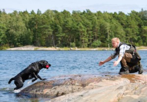 Retrieving