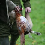 A Sporting Chance: a look at the ethics of game shooting