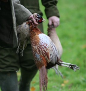 Ethics of Gameshooting