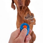 Does clicker training work with all dogs?