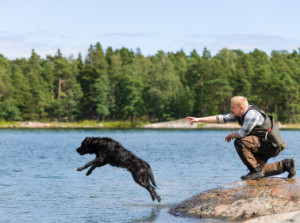 directional control for gundogs