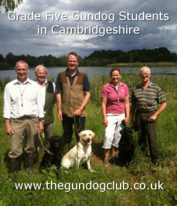 gundog field tests