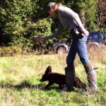 Teaching your gundog permanent blinds: Part two