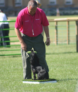 ian openshaw gamefair demonstration