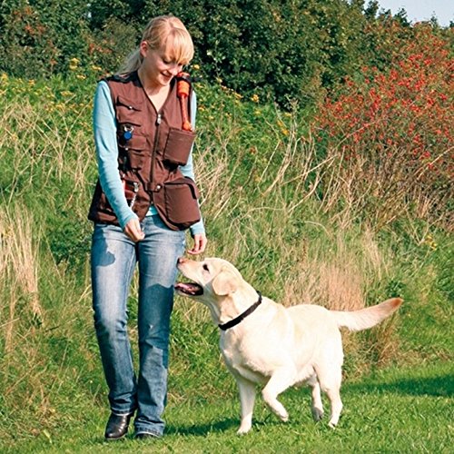 Review: Dog Training Vest - Totally Gundogs